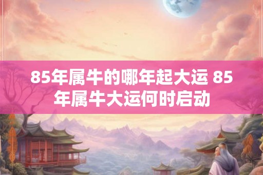 85年属牛的哪年起大运 85年属牛大运何时启动