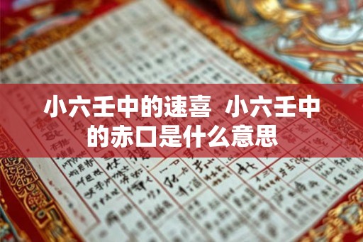 小六壬中的速喜  小六壬中的赤口是什么意思