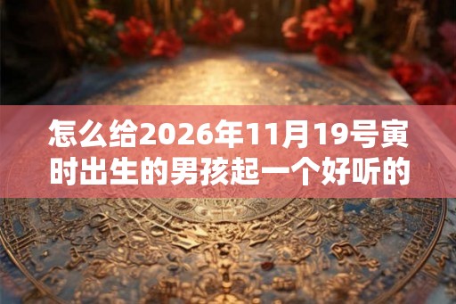 怎么给2026年11月19号寅时出生的男孩起一个好听的名字