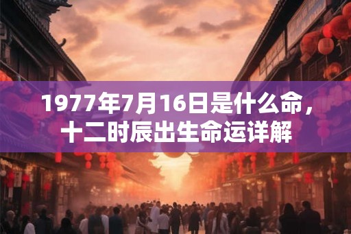 1977年7月16日是什么命，十二时辰出生命运详解
