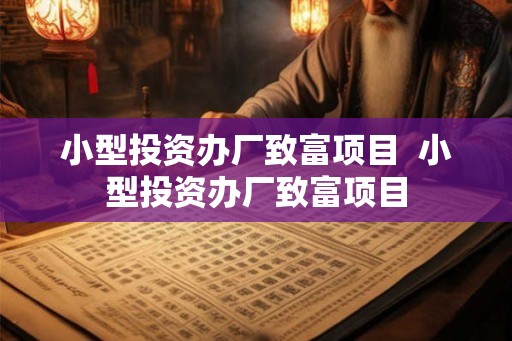 小型投资办厂致富项目  小型投资办厂致富项目