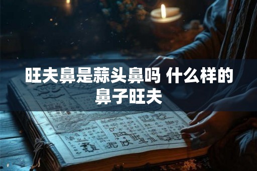 旺夫鼻是蒜头鼻吗 什么样的鼻子旺夫
