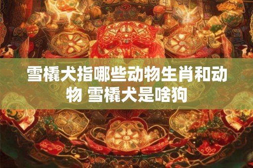 雪橇犬指哪些动物生肖和动物 雪橇犬是啥狗