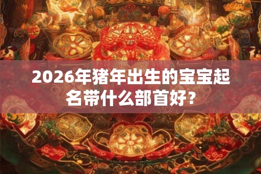 2026年猪年出生的宝宝起名带什么部首好？