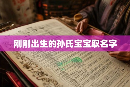 刚刚出生的孙氏宝宝取名字