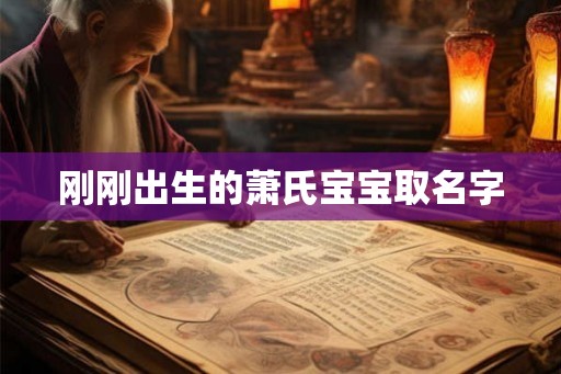 刚刚出生的萧氏宝宝取名字