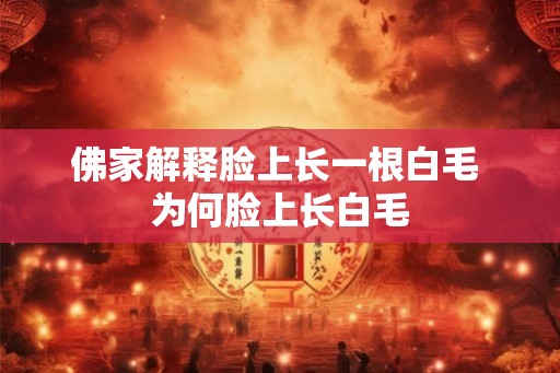 佛家解释脸上长一根白毛 为何脸上长白毛