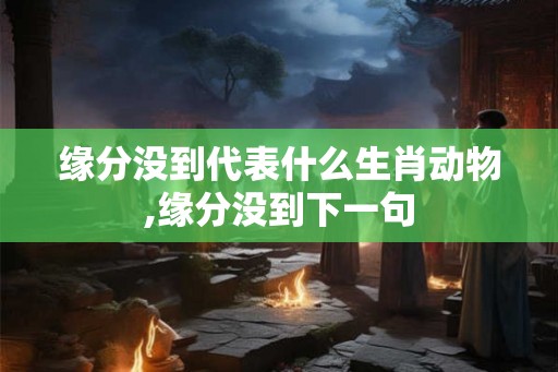 缘分没到代表什么生肖动物,缘分没到下一句