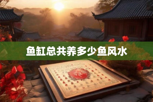 鱼缸总共养多少鱼风水