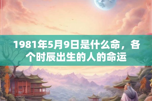 1981年5月9日是什么命,各个时辰出生的人的命运 1981年5月9日是什么命,各个时辰出生的人的命运