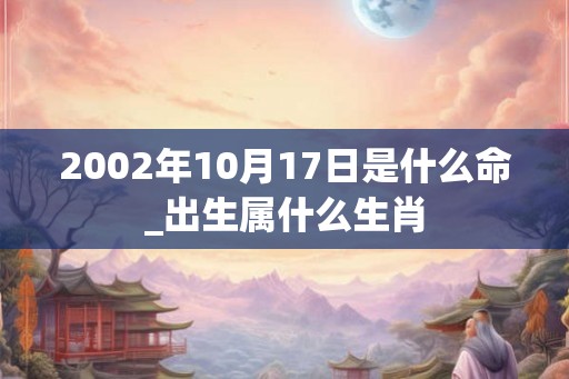 2002年10月17日是什么命_出生属什么生肖