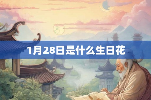 1月28日是什么生日花