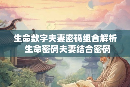 生命数字夫妻密码组合解析  生命密码夫妻结合密码