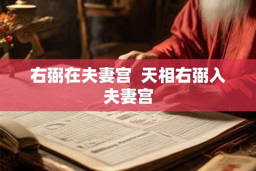 右弼在夫妻宫 天相右弼入夫妻宫 右弼在夫妻宫 天相右弼入夫妻宫