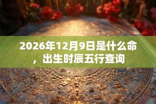 2026年12月9日是什么命，出生时辰五行查询