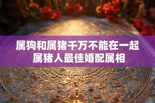 属狗和属猪千万不能在一起 属猪人最佳婚配属相