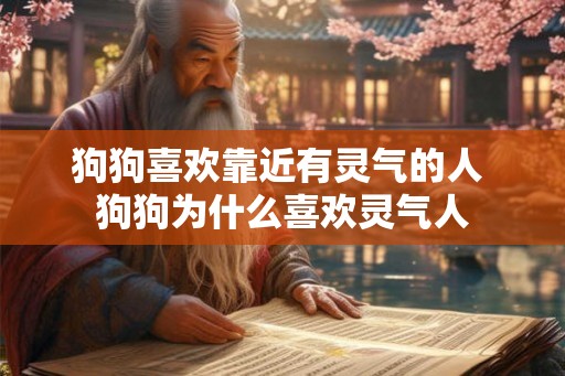 狗狗喜欢靠近有灵气的人 狗狗为什么喜欢灵气人