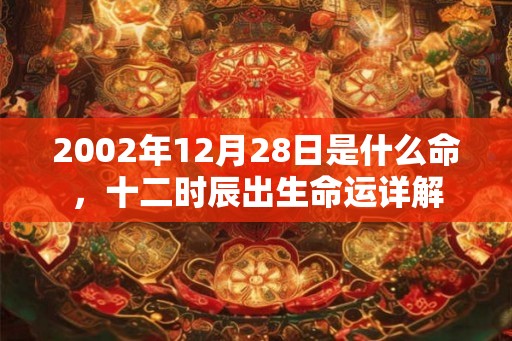 2002年12月28日是什么命，十二时辰出生命运详解