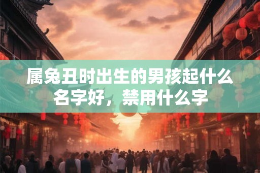 属兔丑时出生的男孩起什么名字好，禁用什么字