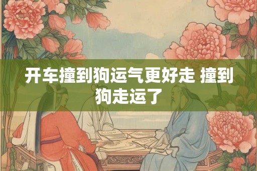 开车撞到狗运气更好走 撞到狗走运了
