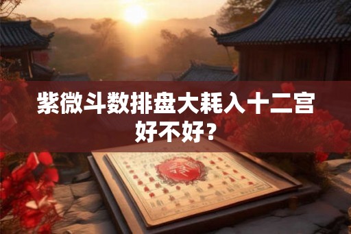 紫微斗数排盘大耗入十二宫好不好? 紫微斗数排盘大耗入十二宫好不好?