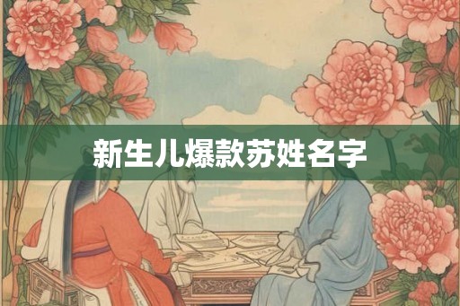 新生儿爆款苏姓名字
