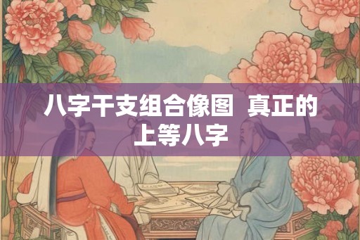 八字干支组合像图  真正的上等八字