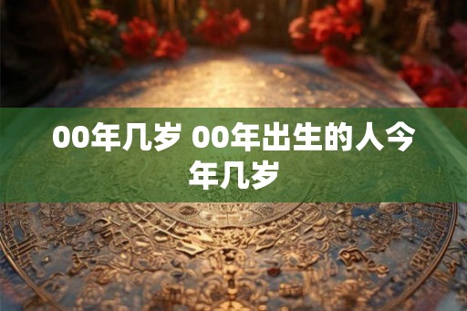 00年几岁 00年出生的人今年几岁