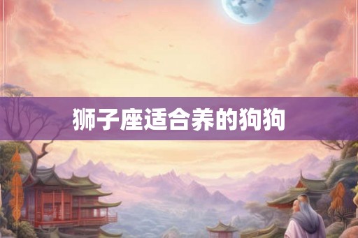 狮子座适合养的狗狗