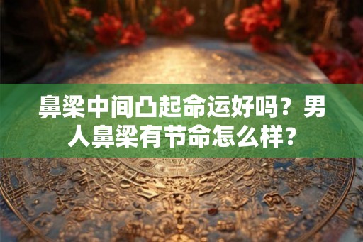 鼻梁中间凸起命运好吗？男人鼻梁有节命怎么样？