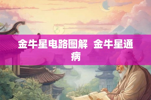 金牛星电路图解 金牛星通病 金牛星电路图解 金牛星通病