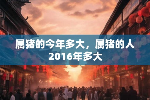 属猪的今年多大，属猪的人2016年多大