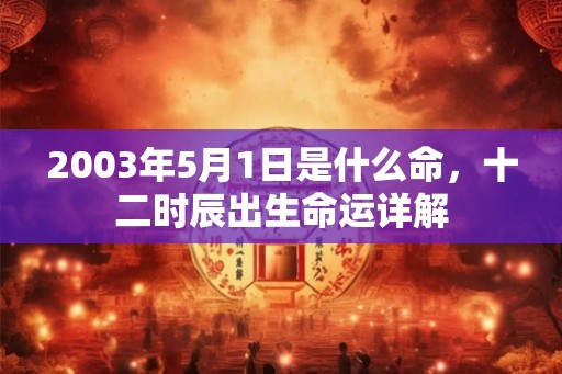 2003年5月1日是什么命，十二时辰出生命运详解