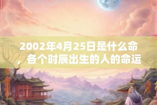 2002年4月25日是什么命，各个时辰出生的人的命运