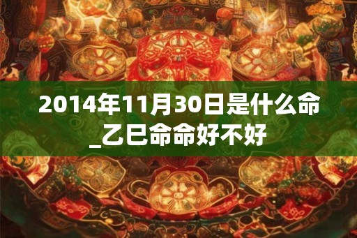 2014年11月30日是什么命_乙巳命命好不好