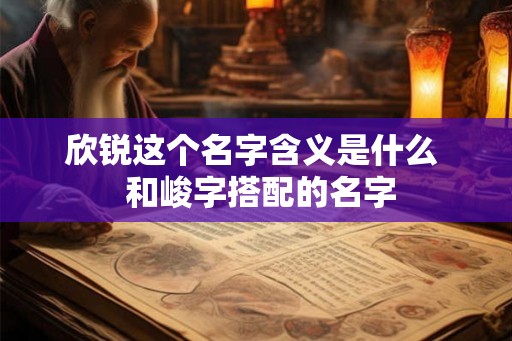 欣锐这个名字含义是什么  和峻字搭配的名字