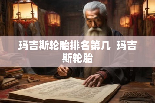 玛吉斯轮胎排名第几  玛吉斯轮胎