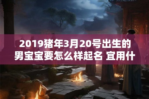 2019猪年3月20号出生的男宝宝要怎么样起名 宜用什么字呢