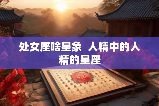 处女座啥星象  人精中的人精的星座