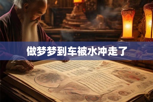做梦梦到车被水冲走了