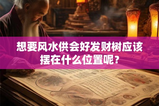 想要风水供会好发财树应该摆在什么位置呢？