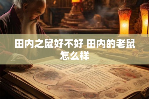 田内之鼠好不好 田内的老鼠怎么样