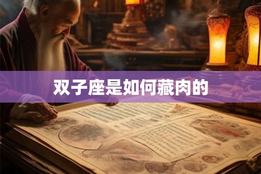 双子座是如何藏肉的