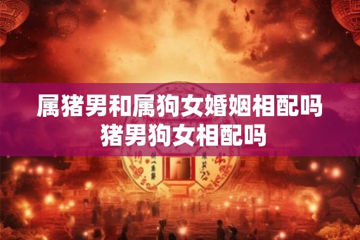 属猪男和属狗女婚姻相配吗 猪男狗女相配吗