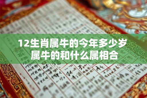 12生肖属牛的今年多少岁  属牛的和什么属相合