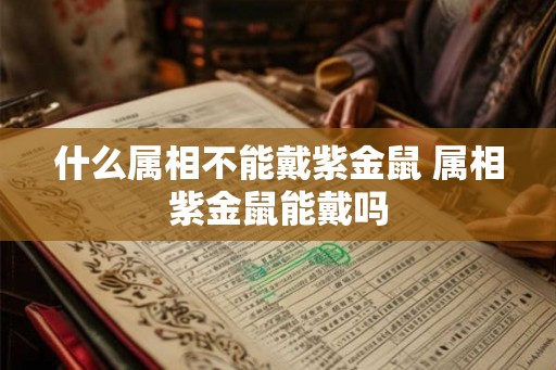 什么属相不能戴紫金鼠 属相紫金鼠能戴吗 什么属相不能戴紫金鼠 属相紫金鼠能戴吗