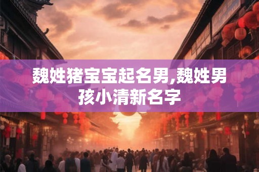 魏姓猪宝宝起名男,魏姓男孩小清新名字