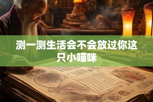 测一测生活会不会放过你这只小喵咪
