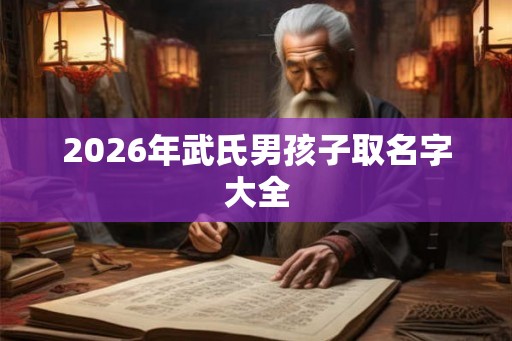 2026年武氏男孩子取名字大全