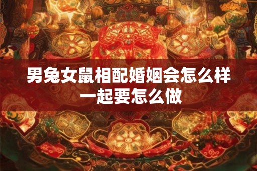 男兔女鼠相配婚姻会怎么样 一起要怎么做
